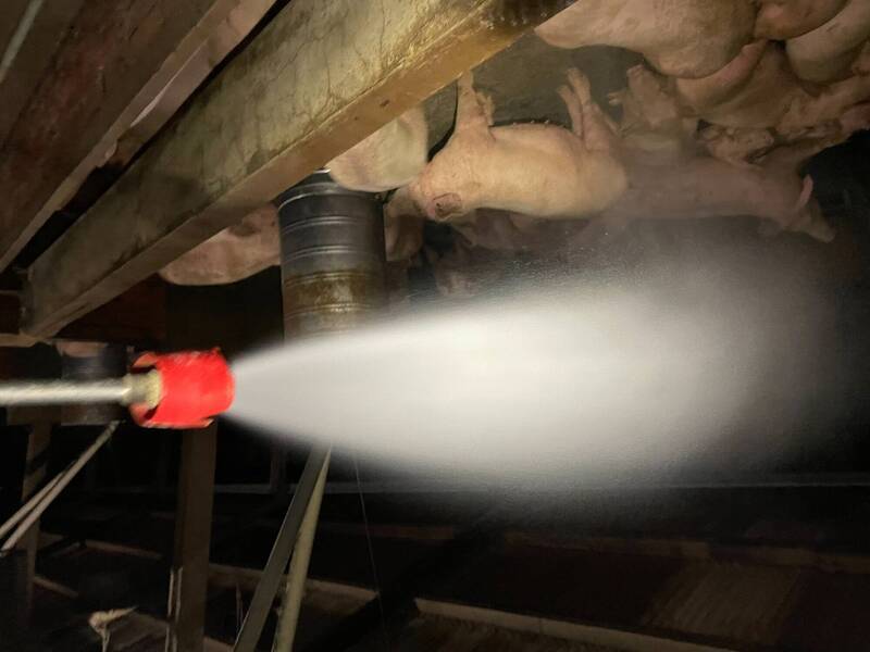 南投議員促全面禁用廚餘養豬 防堵非洲豬瘟