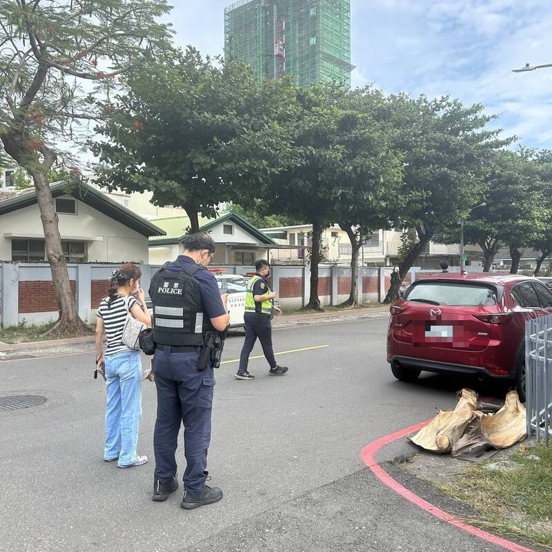 休旅车遭大王椰子击毁,警方获报前往处理。(民众提供) 休旅车遭大王椰子击毁,警方获报前往处理。(民众提供)