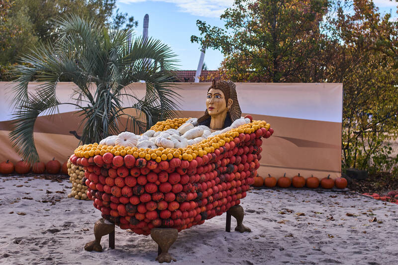 德国南瓜节以「女力」为主题,图为用南瓜打造的古埃及女王克丽奥佩脱拉(Cleopatra,通称埃及艳后)泡澡的奇特景象。(美联社) 德国南瓜节以「女力」为主题,图为用南瓜打造的古埃及女王克丽奥佩脱拉(Cleopatra,通称埃及艳后)泡澡的奇特景象。(美联社)