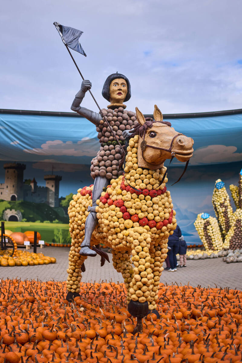法国民族英雄圣女贞德(Joan of Arc)骑马的英姿,在德国南瓜节上以南瓜雕塑的形式重现,借此向这位中世纪的女战士致敬。(美联社) 法国民族英雄圣女贞德(Joan of Arc)骑马的英姿,在德国南瓜节上以南瓜雕塑的形式重现,借此向这位中世纪的女战士致敬。(美联社)