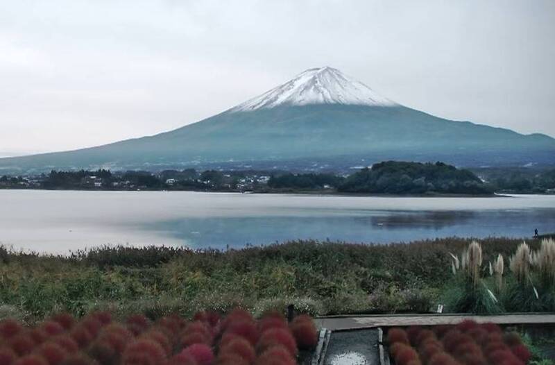 今早河口湖大石公园。(图撷自富士山即时影像) 今早河口湖大石公园。(图撷自富士山即时影像)