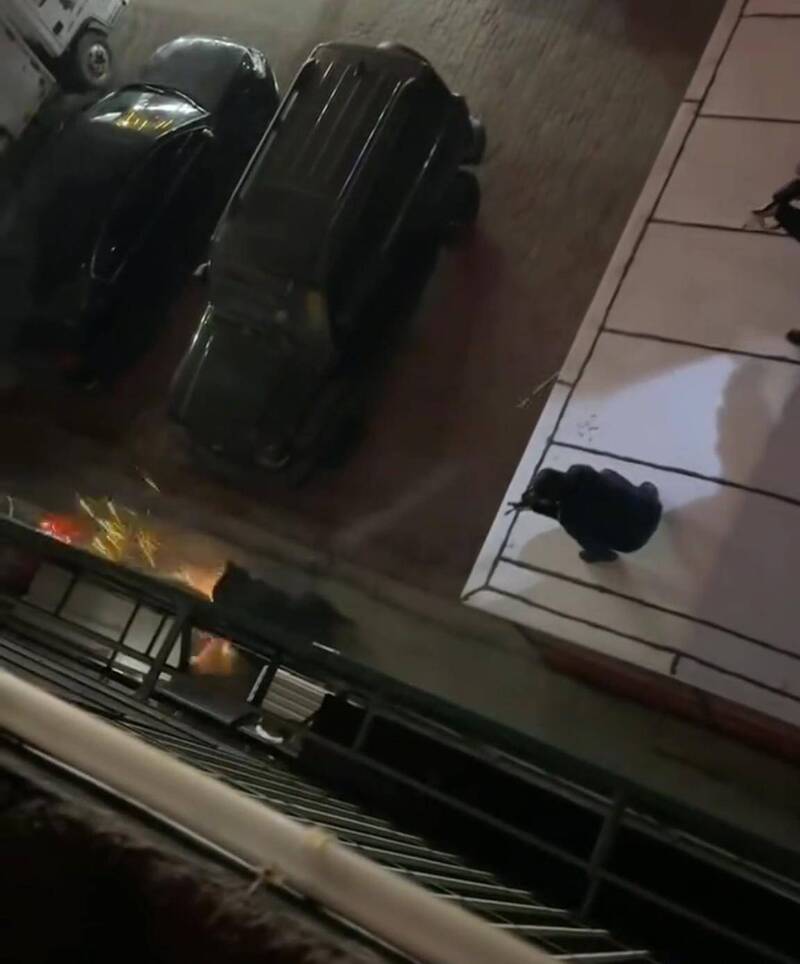 中国黑龙江省宝清县市区街道上惊见1只大黑熊,随后遭警方开枪击毙。(图撷取自极目新闻) 中国黑龙江省宝清县市区街道上惊见1只大黑熊,随后遭警方开枪击毙。(图撷取自极目新闻)