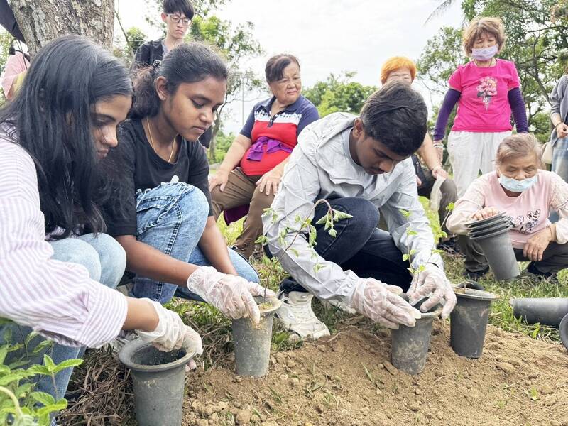 嘉縣水上推紅骨仙草 國際學生體驗種植