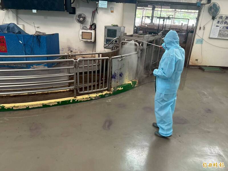 高雄全面禁止廚餘養豬 改以飼料餵養