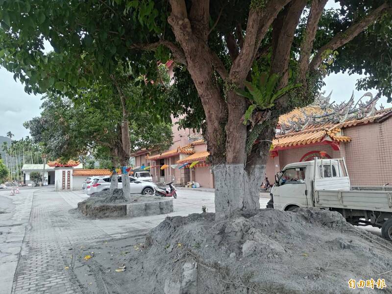 「雙色」樹幹、「大洞」圍牆  成光復鄉災後印記