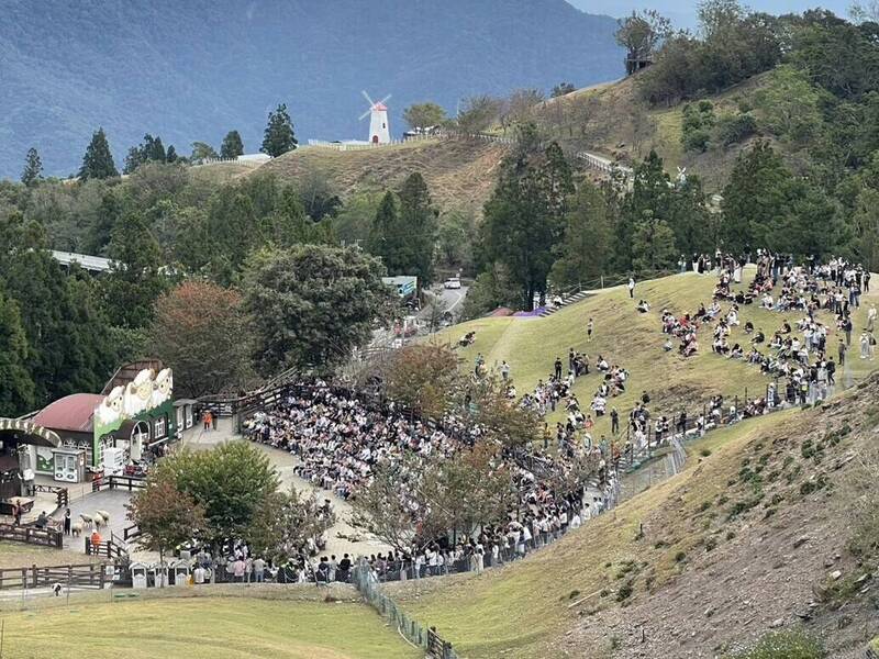 遠離北部濕冷!清境秋高氣爽人潮滿坑滿谷 日月潭湧1.7萬人