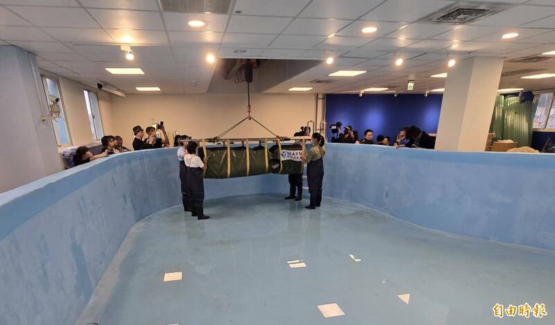 八斗子鯨豚救援池啟用 打造北台灣鯨豚救傷中心