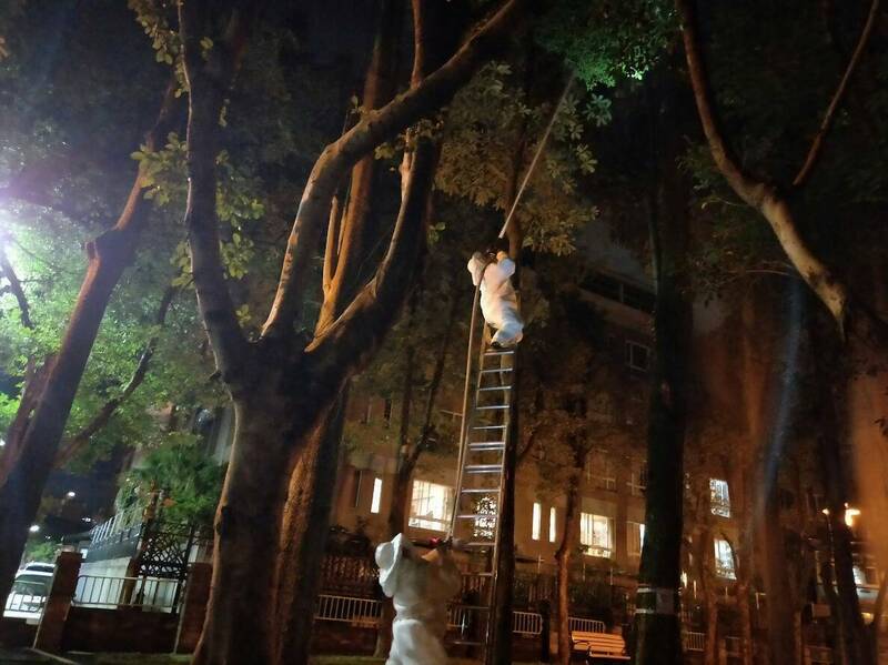 避免捕蜂捉蛇隊員再出意外 桃園預估明年1月業務委外