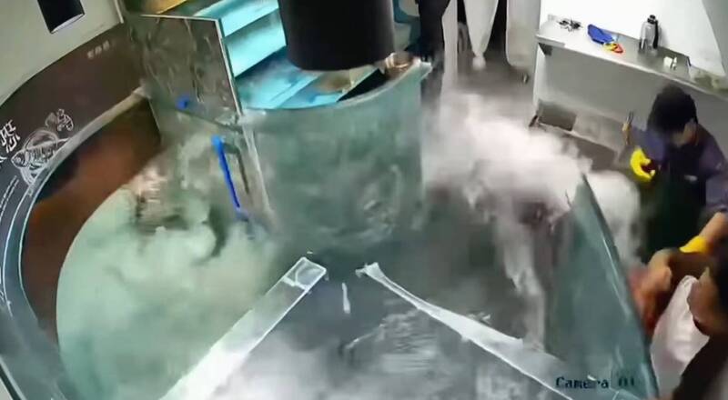 餐廳巨大魚缸突爆開!網笑:新鮮的食材會自己游過來......