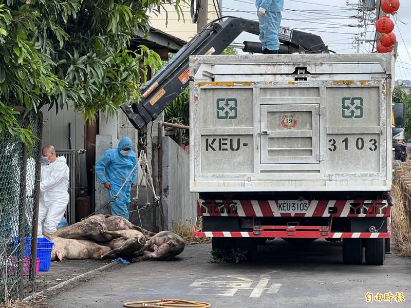 列台中市府說謊時間軸 徐嶔煌:10/14不通報中央是不是說不過去?