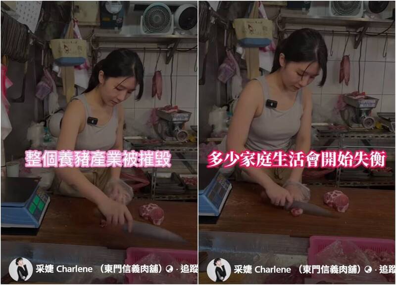 不會感染人但會摧毀養豬業！ 防非洲豬瘟「豬肉公主」籲不要做2件事