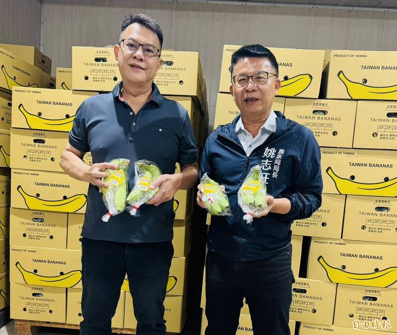 台灣香蕉首次整櫃外銷新加坡！高雄每週穩定出口