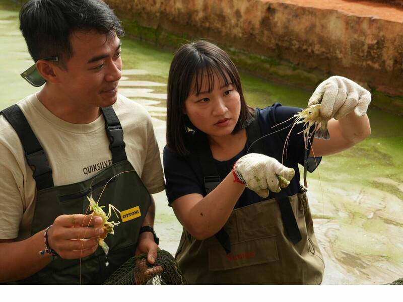 盼與夥伴國交流政策倡議 國合會擬將技術團轉型為駐地辦公室