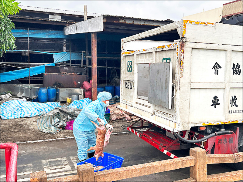 中市說法反覆 王姓獸醫佐疑無照診斷