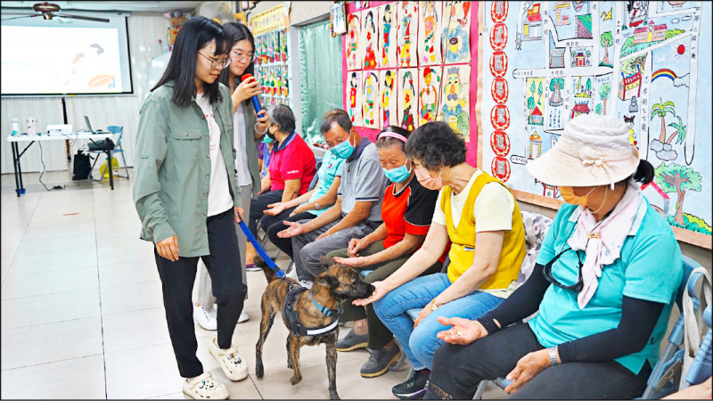 浪浪化身陪伴犬 讓長輩重拾笑容