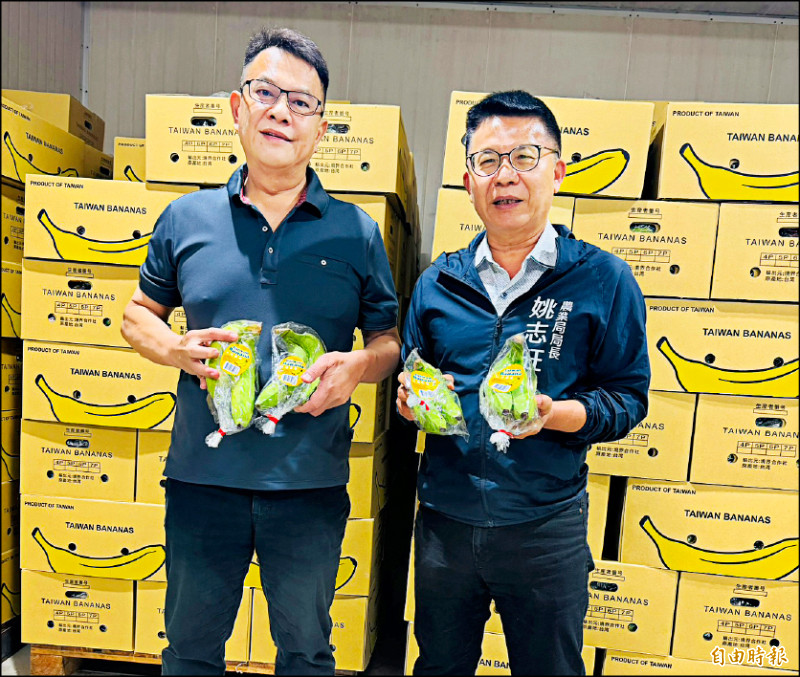 高雄香蕉銷新加坡 今年可望破20噸