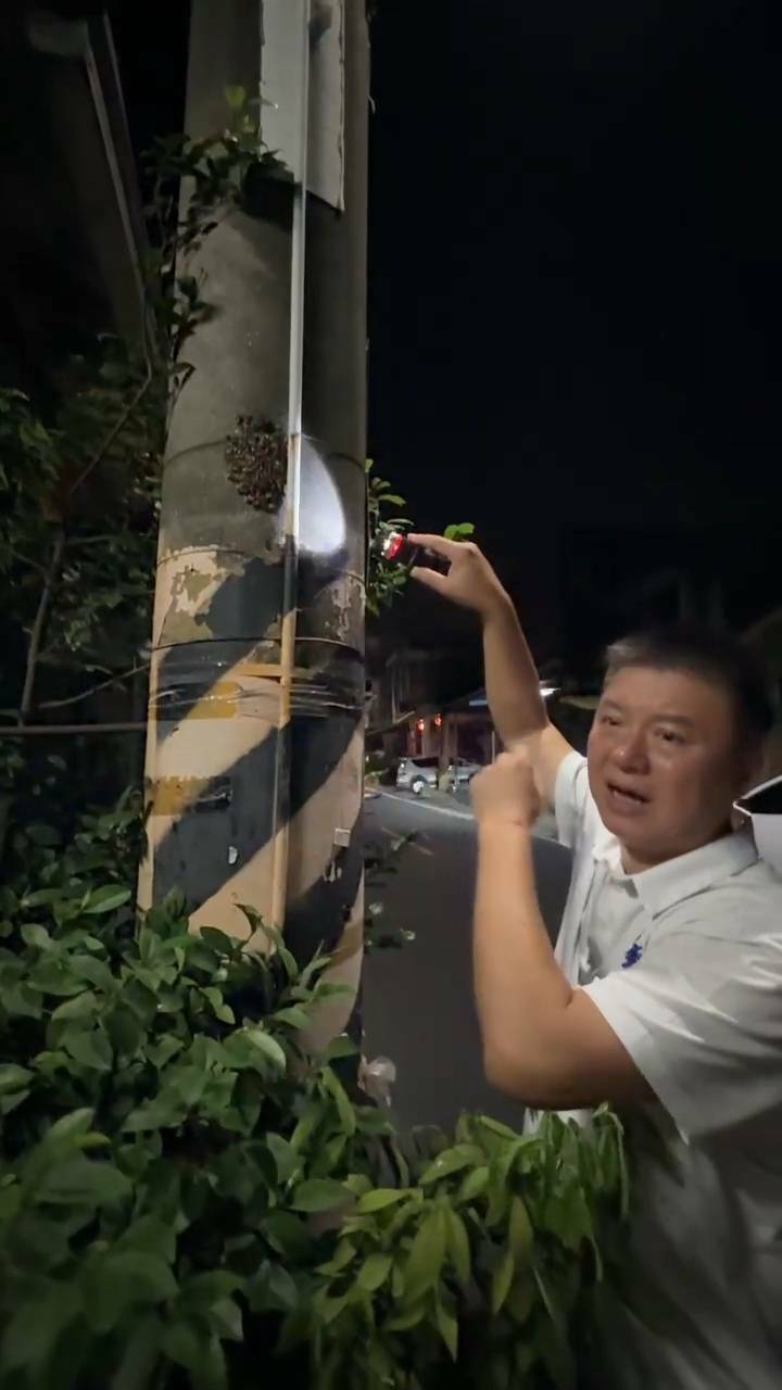 屏東縣議員許展維前往現場勘查,發現蜜蜂成群聚集。(許展維提供) 屏東縣議員許展維前往現場勘查,發現蜜蜂成群聚集。(許展維提供)