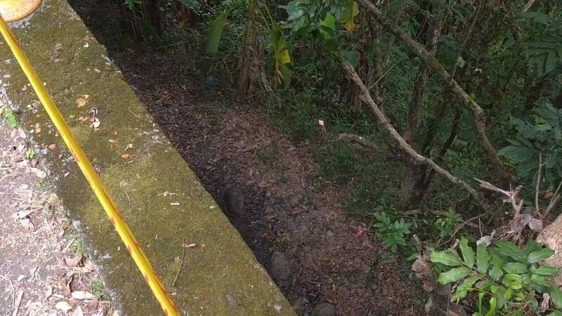 棄屍地點。(民眾提供) 棄屍地點。(民眾提供)