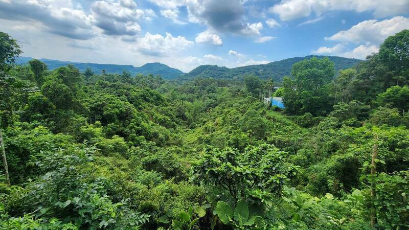 反對埔里設廢棄物掩埋場 議員要求許淑華學韓國瑜