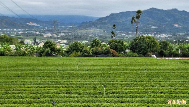 南投蓋焚化爐年回饋金1億 議員要求加強排放物濫測