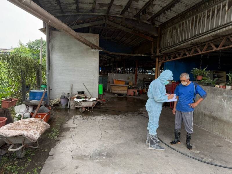 養豬場全台最多 屏縣展開第二輪訪視豬隻健康良好