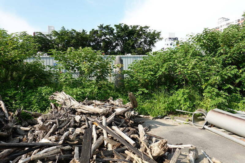 棄置肉品市場獸魂碑才爆發疫情? 非洲豬瘟中央應變中心18字回應