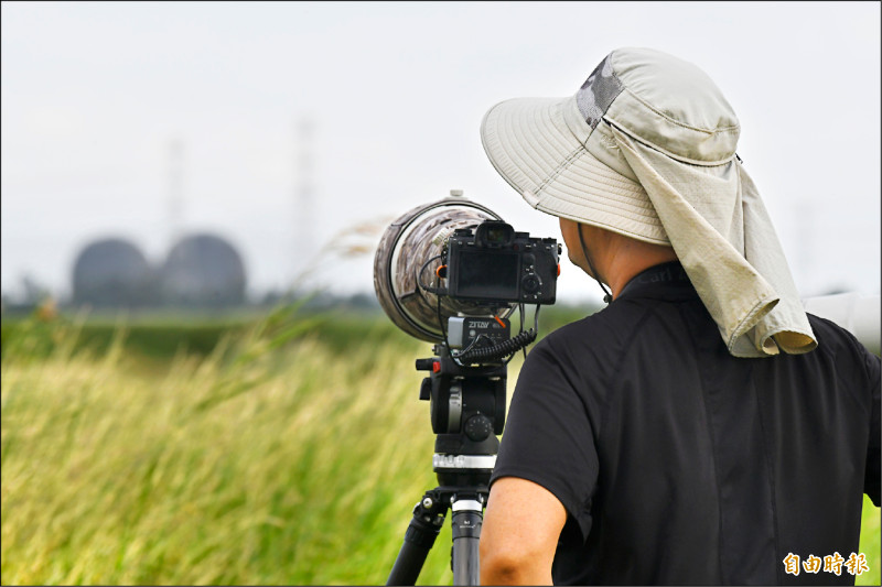 30多年來第二筆紀錄 「灰鶴」現身恆春龍鑾潭