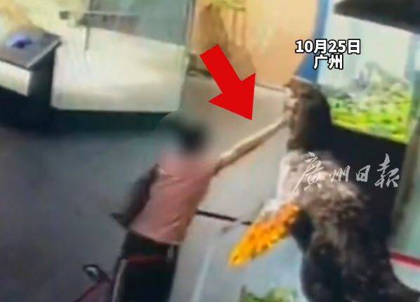 切恐龍救人!中國遊客手卡龍嘴失血發白 博物館急割模型下巴