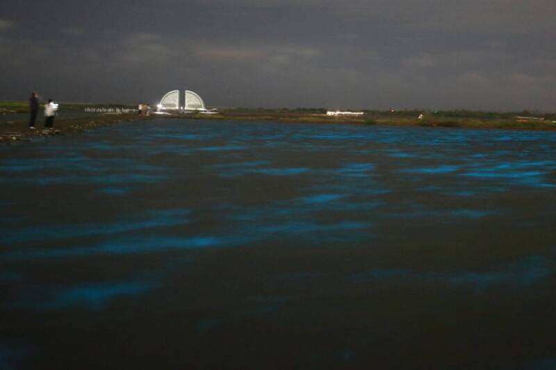 台南將軍海面藍眼淚奇景湧遊客 市府籲勿留垃圾