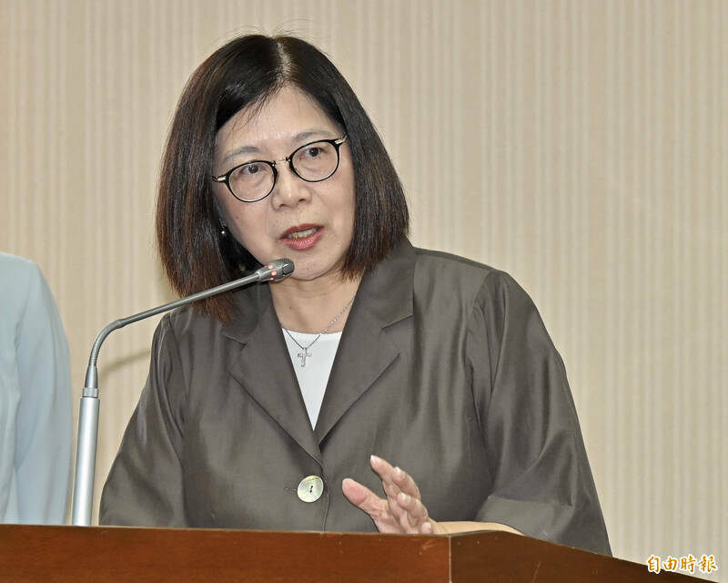 立院明排審海纜七法 管碧玲：有效守護海纜、盼立院支持