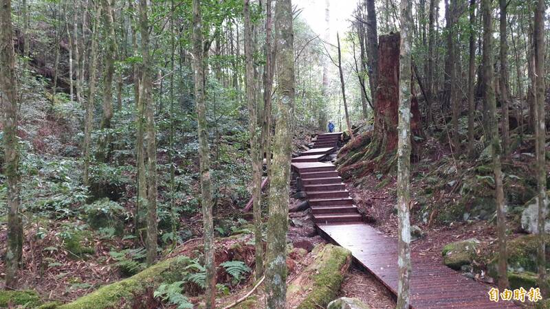 藍腹鷴、白面鼯鼠迎賓賣萌 盧秀燕預計11月底參訪大雪山