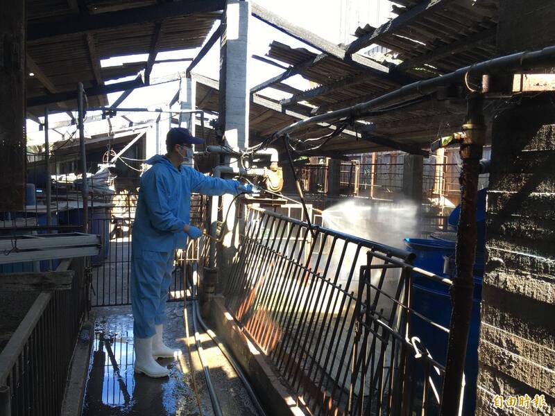 高雄加強列管40場高風險養豬場 防堵非洲豬瘟