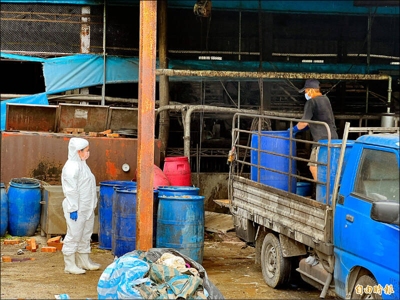 環境部加嚴管制 廚餘養豬場需每天申報、每週稽查