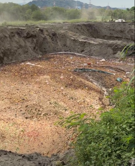 廚餘露天堆置台中市府挨轟 網憂:動物取食恐讓病毒散播