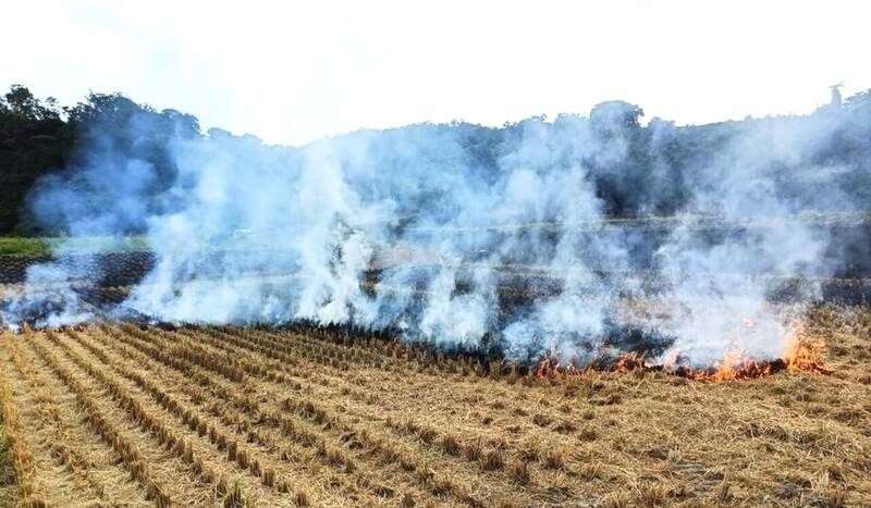 空氣品質惡化預警期啟動 露天燃燒稻草罰更重!
