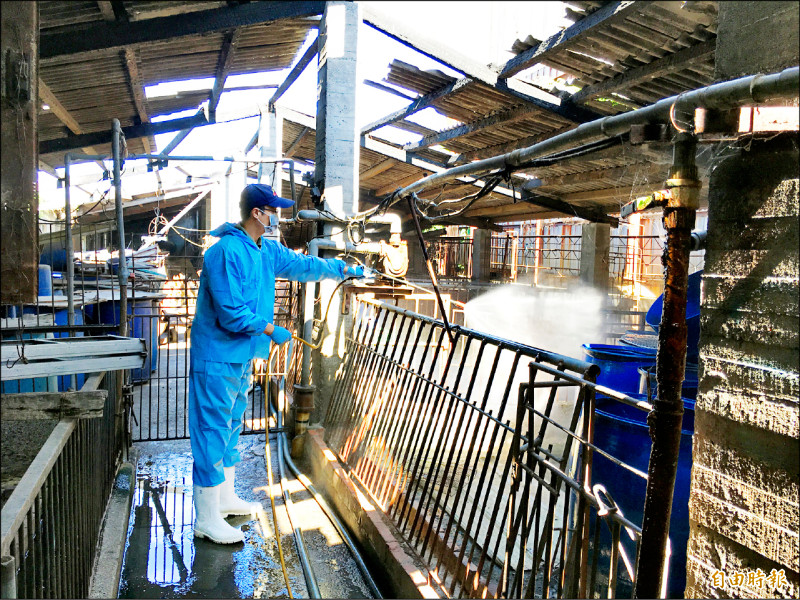 《防堵非洲豬瘟》高雄40高風險養豬場 分級列管