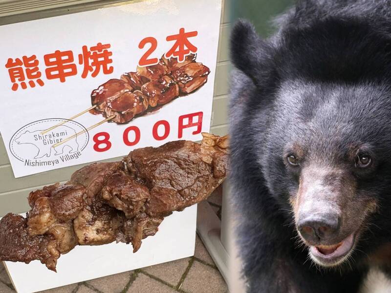 青森縣路邊休息站開賣「烤黑熊肉串」 美味口感意外爆紅