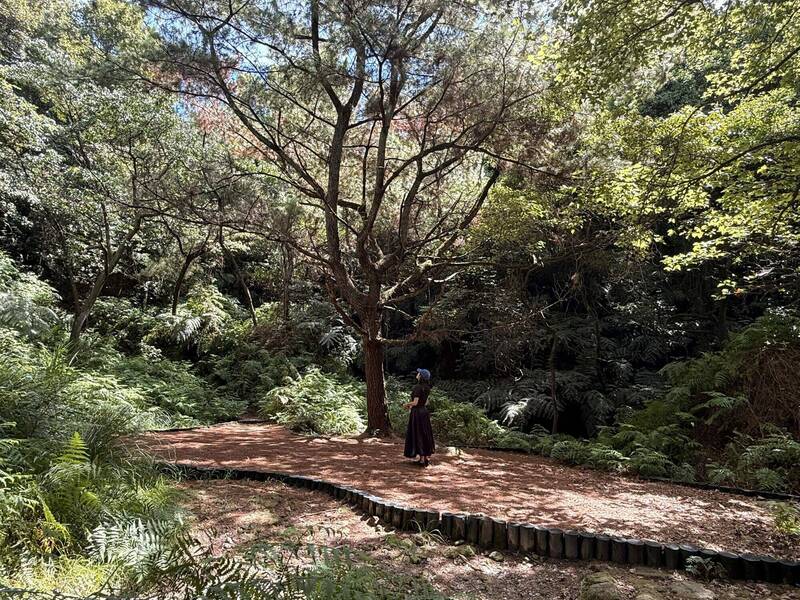 陽明山秋天小旅行 紫明溪步道輕鬆走
