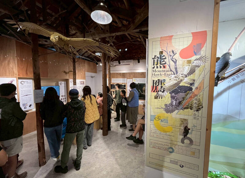 「熊鷹-尋 閃現長空的白羽」特展今開幕 解密台灣一級保育類
