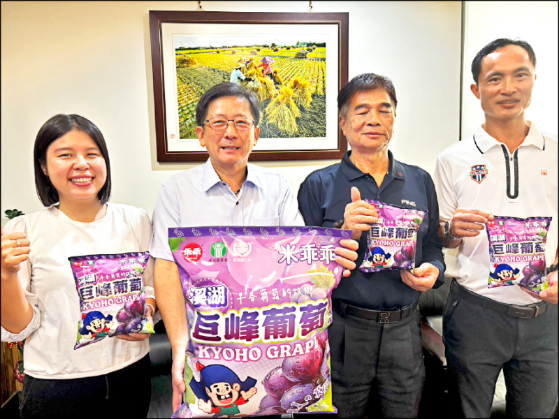 《甜中帶酸》溪湖推葡萄乖乖 未上市就掀搶購