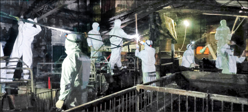 化學兵出動 徹夜清理梧棲養豬場