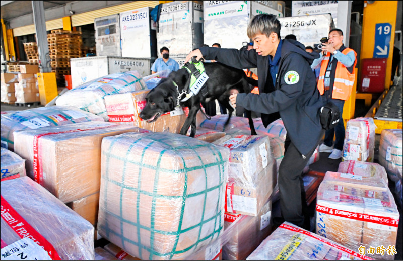 桃機快遞 防疫犬嗅聞查緝