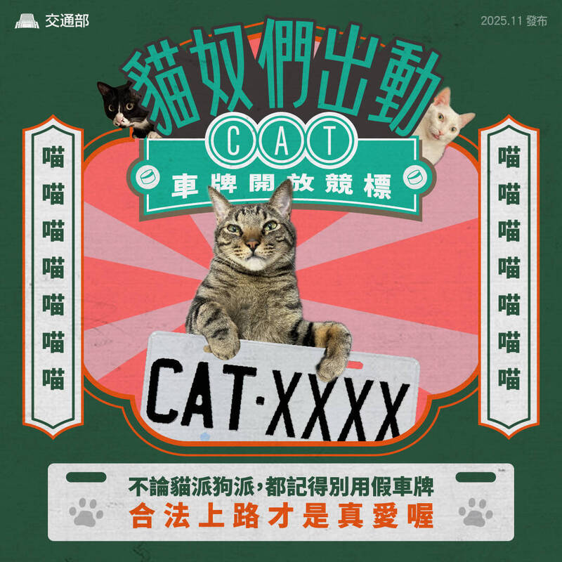 貓奴車主必收！ 交通部證實開放「CAT」車牌競標