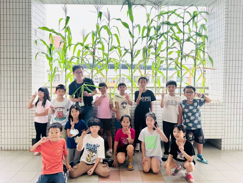 高雄新上國小長出「天然窗簾」 花台種玉米長大了