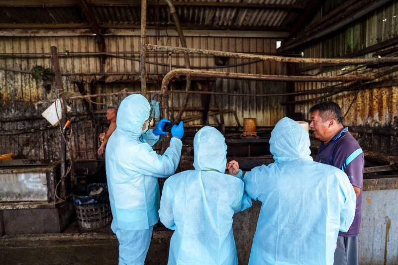 屏東縣積極展開稽查。（屏東縣政府提供）