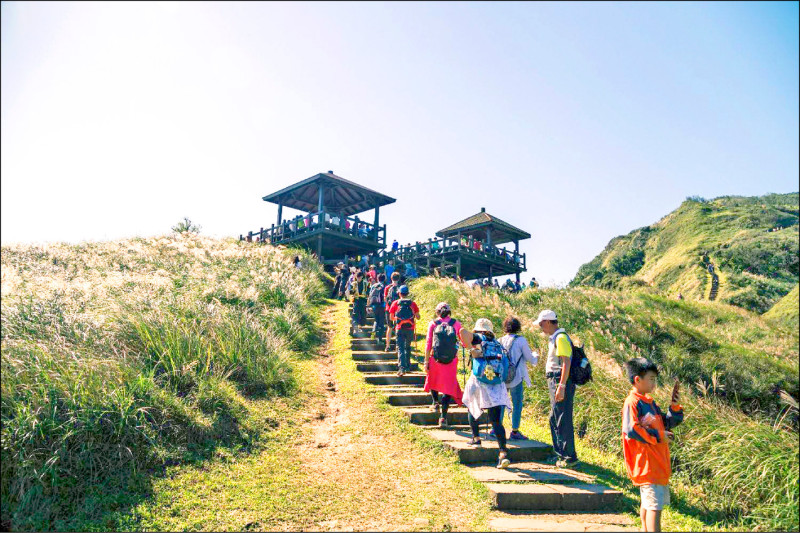 草嶺古道 假日推賞芒專車