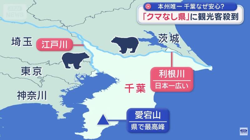 今年日本熊害災情頻傳，但千葉縣持續維持本州唯一的「無熊縣」的情況，引發各界熱烈討論。（圖擷取自@tokyostory 社群平台「X」）