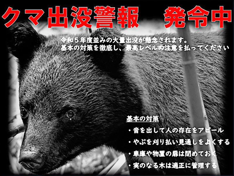 日本「熊」恐怖 自衛隊出動抓捕