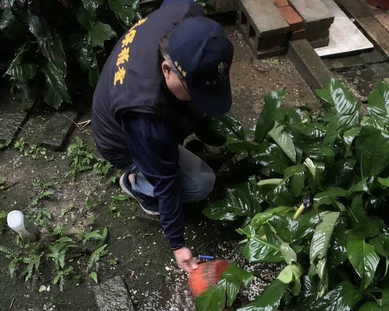 汐止區婦人確診登革熱 新北市首例本土病例