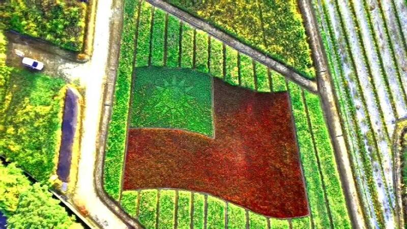 桃園市政府在大園地區設置意象花海，讓國外旅客知道台灣到了。（農業局提供）